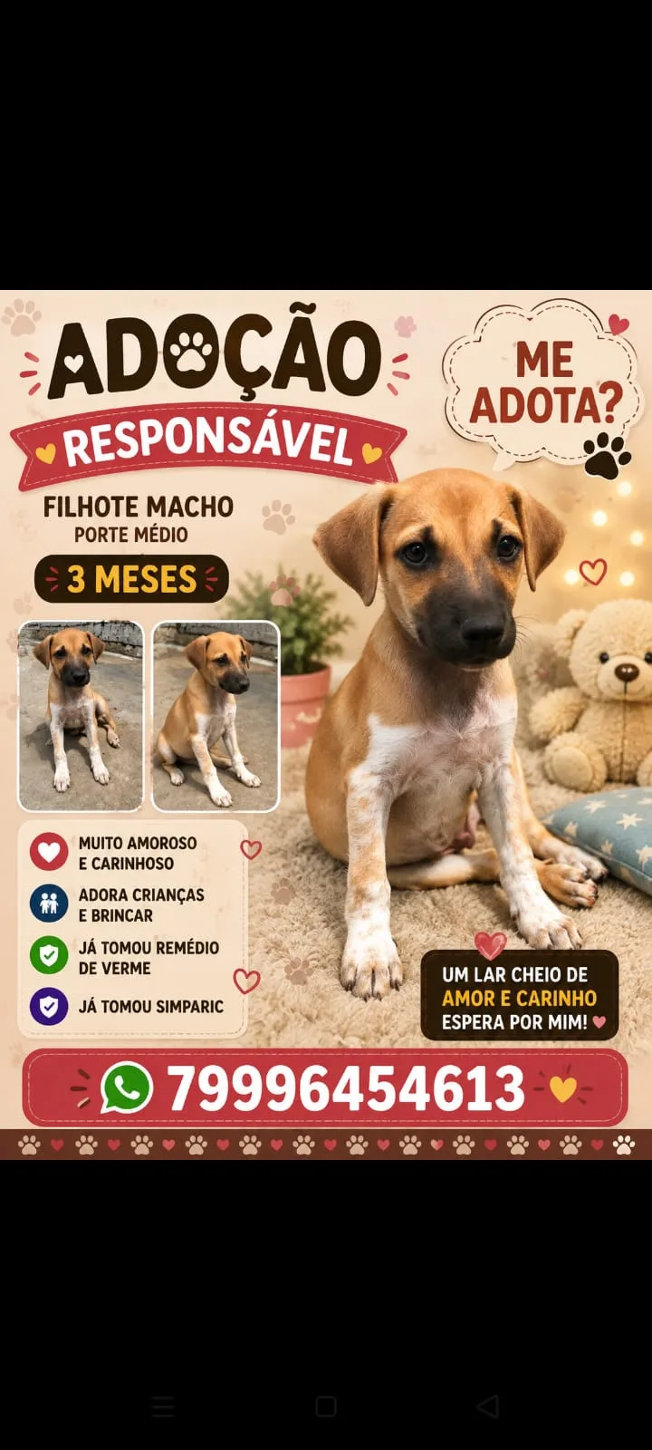 Foto 1 de ADOÇÃO RESPONSÁVEL