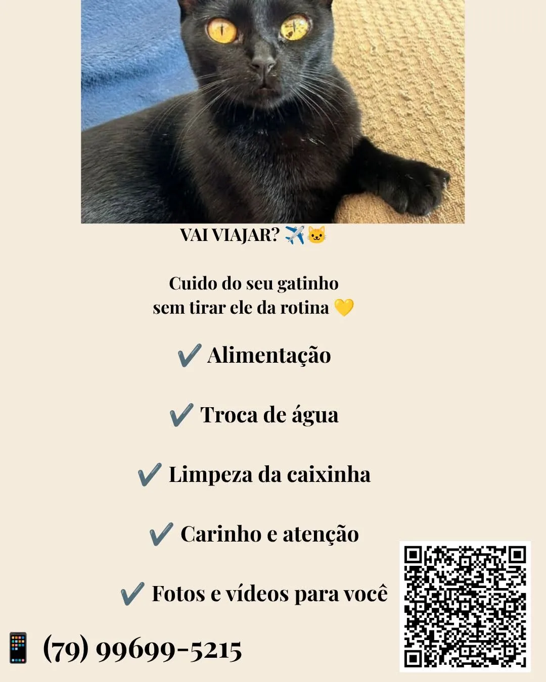 Foto do anúncio Serviço de cuidador de gatos (Cat Sitter)